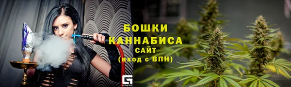шишки Армянск