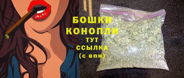 прущий лед Арсеньев