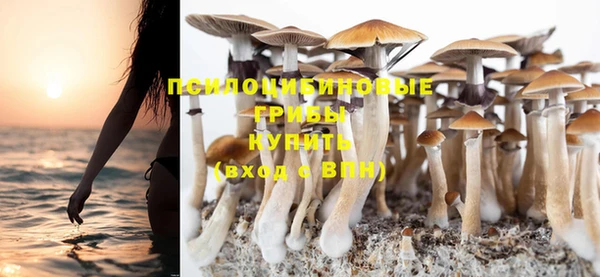 прущий лед Арсеньев