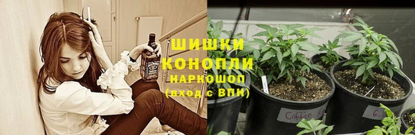 прущий лед Арсеньев