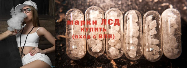 шишки Армянск