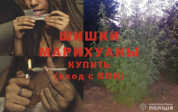 шишки Армянск