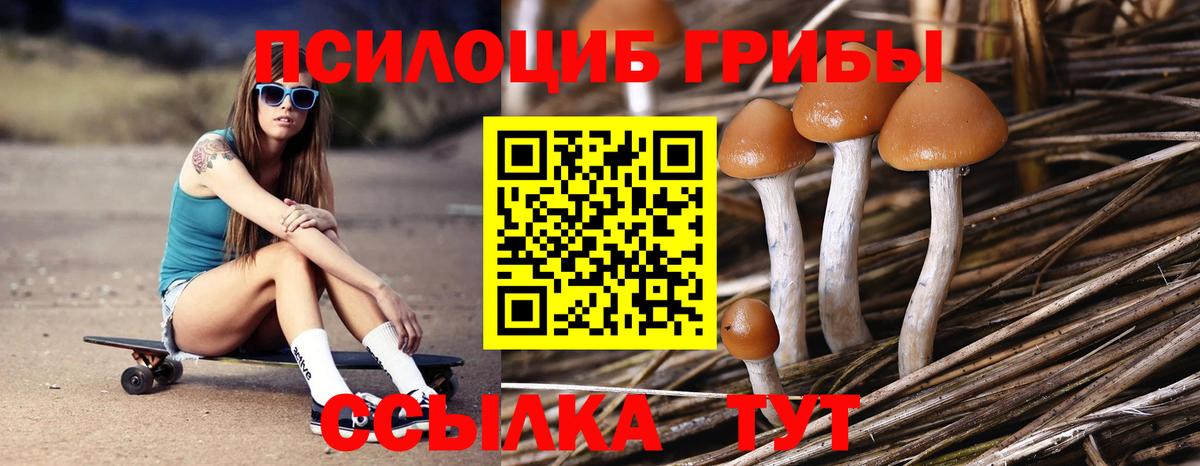 Галлюциногенные грибы GOLDEN TEACHER  Вход с VPN  Бирск 